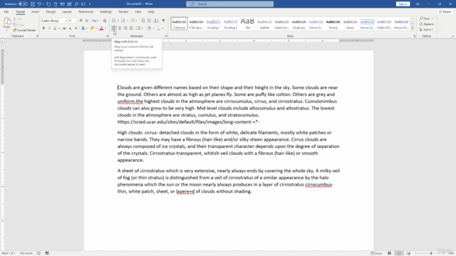 Word - Microsoft Word from Basic to Advanced – Screenshot 1