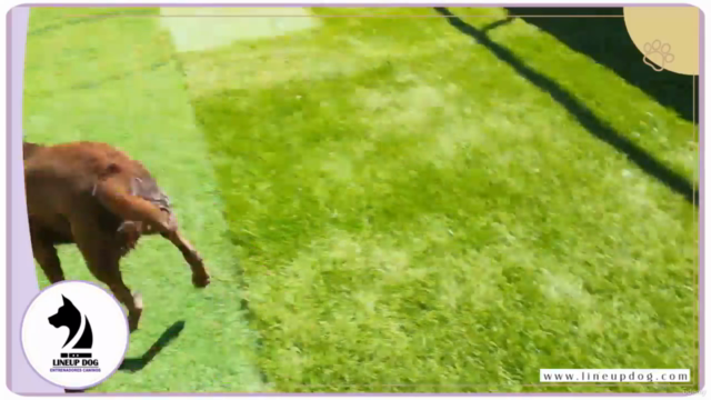 La Naturaleza del Perro – Screenshot 2