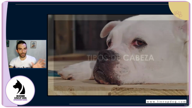 La Naturaleza del Perro – Screenshot 3