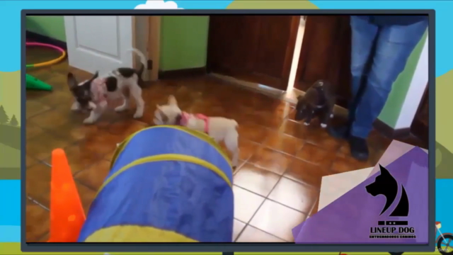 La Naturaleza del Perro – Screenshot 4