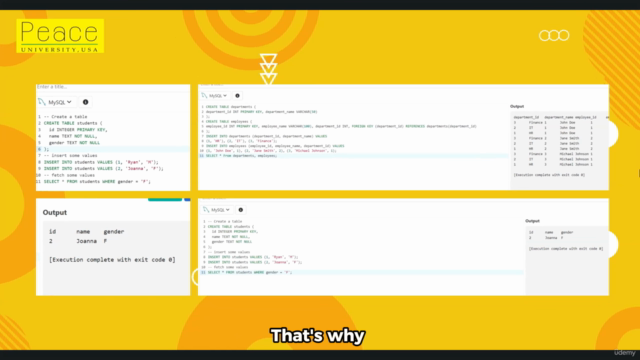 SQL Mastery: From Basics to Advanced Techniques – Screenshot 2