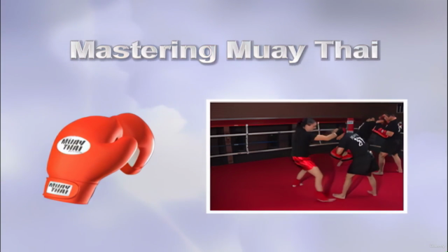 Mastering Muay Thai – Screenshot 2