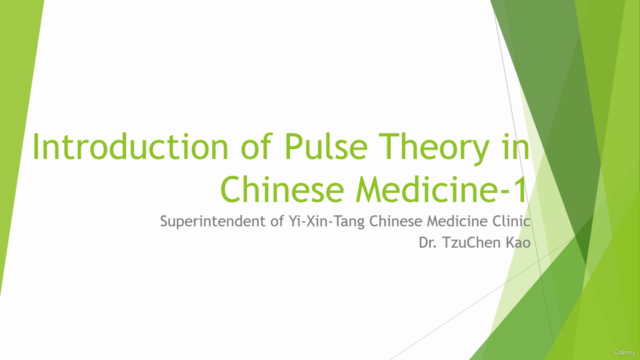 Pulse Diagnosis in Traditional Chinese Medicine-Beginner – Screenshot 1
