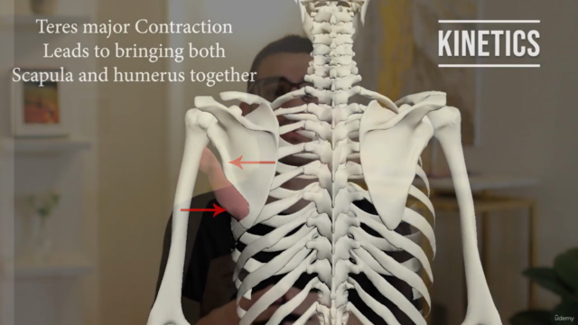 Shoulder Biomechanics Mastery Course : Kinetics & Kinematics – Screenshot 4