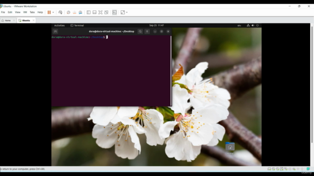 Learn Ubuntu Linux from Scratch – Screenshot 3