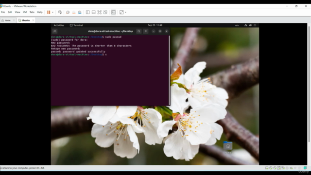 Learn Ubuntu Linux from Scratch – Screenshot 4
