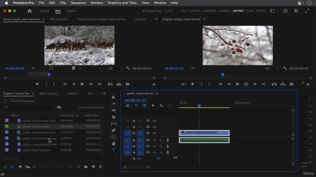 Learn Premiere Pro: Video Editing for Absolute Beginners – Screenshot 1