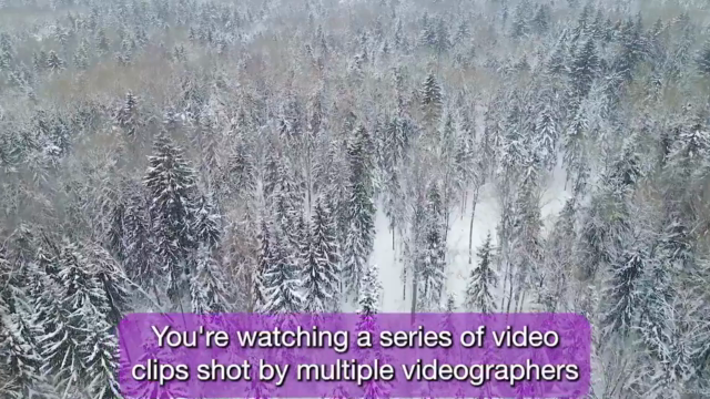Learn Premiere Pro: Video Editing for Absolute Beginners – Screenshot 3