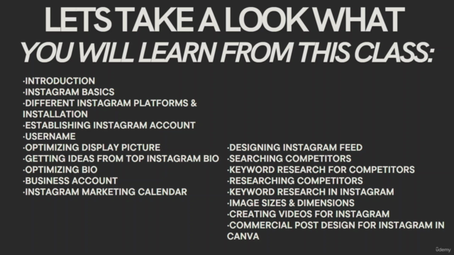 The Complete Guide to Instagram Marketing for Businesses – Screenshot 2