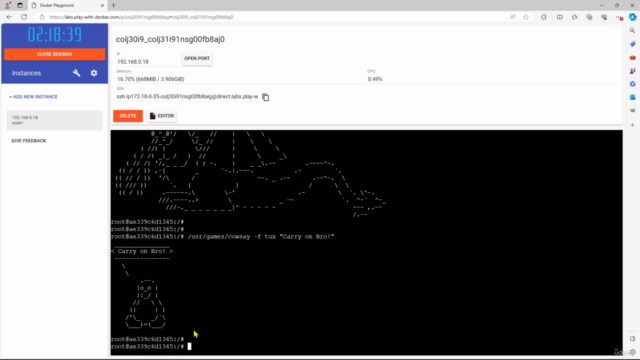 Les Principes Fondamentaux Ultimes de Docker – Screenshot 4