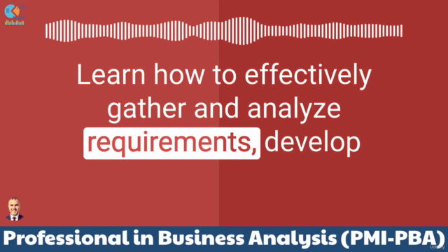 PMI Professional in Business Analysis (PMI-PBA) – Screenshot 3