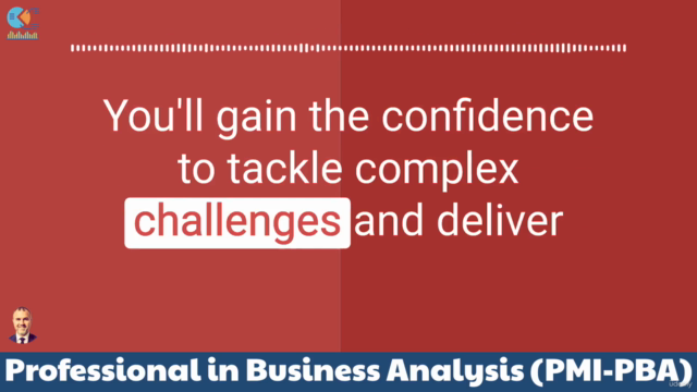 PMI Professional in Business Analysis (PMI-PBA) – Screenshot 4