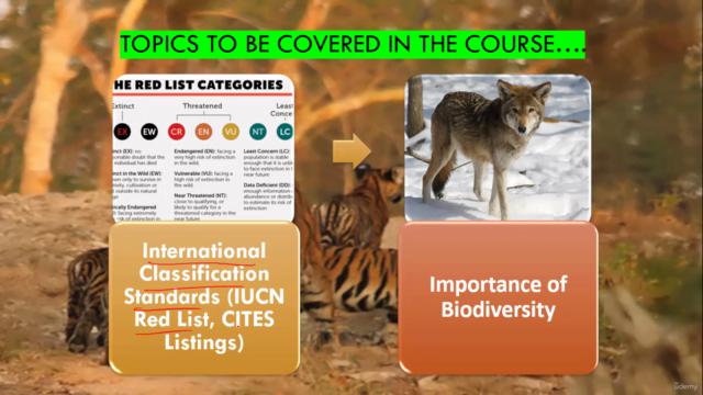 Endangered Species Conservation: Management & Presevation – Screenshot 1