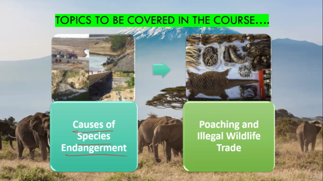 Endangered Species Conservation: Management & Presevation – Screenshot 2
