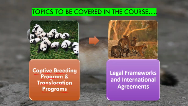 Endangered Species Conservation: Management & Presevation – Screenshot 3
