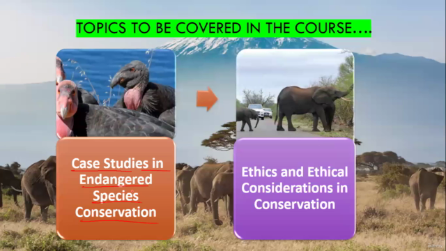 Endangered Species Conservation: Management & Presevation – Screenshot 4