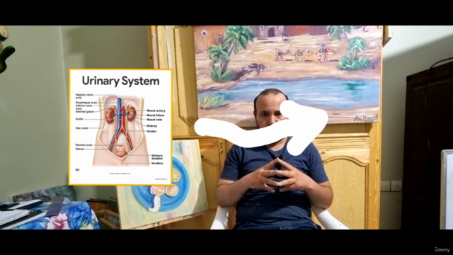 How to paint kidneys anatomically with oil colors – Screenshot 3