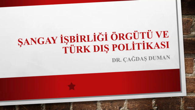 Şangay İşbirliği Örgütü ve Türk Dış Politikası – Screenshot 1