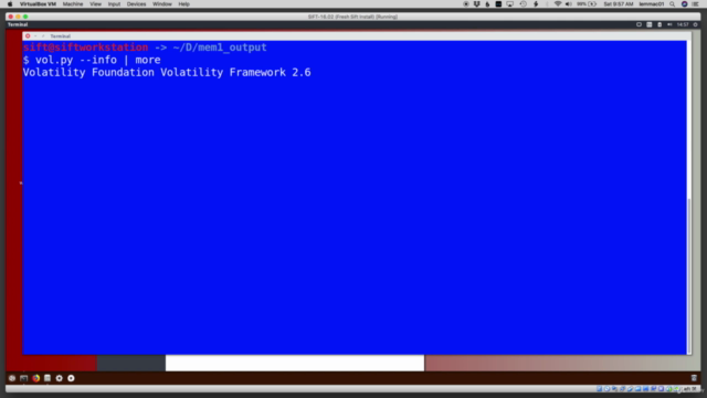SDF: Memory Forensics 1 – Screenshot 2