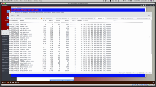 SDF: Memory Forensics 1 – Screenshot 3
