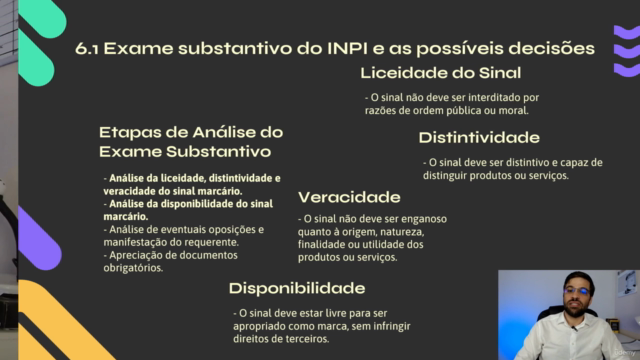 Noções teóricas e práticas para registro de marcas no INPI – Screenshot 2