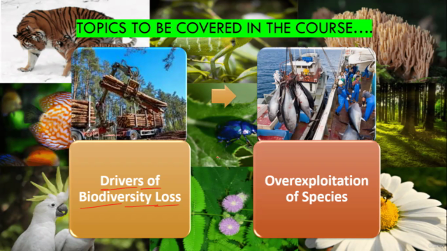 Biodiversity Conservation: Understanding, Threats & Solution – Screenshot 2