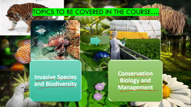 Biodiversity Conservation: Understanding, Threats & Solution – Screenshot 3