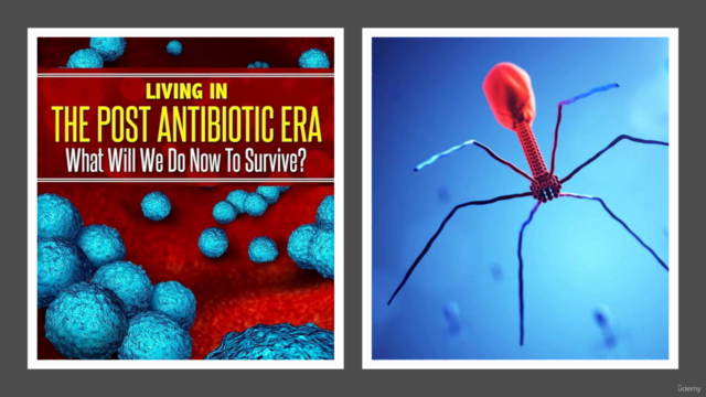 Bacteriophages Isolation & Characterization: PROTOCOLS – Screenshot 1