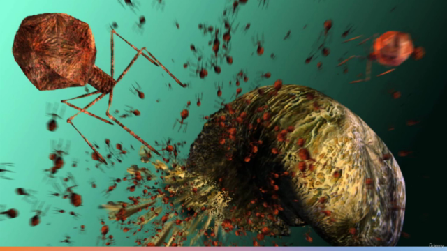 Bacteriophages Isolation & Characterization: PROTOCOLS – Screenshot 2
