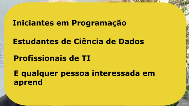 Python para Data Science: Curso Rápido para Quem Tem Pressa! – Screenshot 4