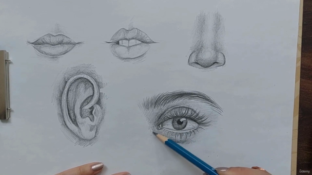 Fundamentals of Drawing: Facial Anatomy Essentials – Screenshot 2