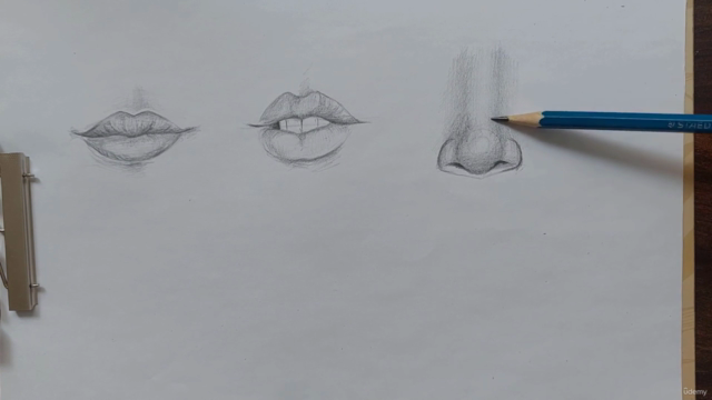 Fundamentals of Drawing: Facial Anatomy Essentials – Screenshot 3