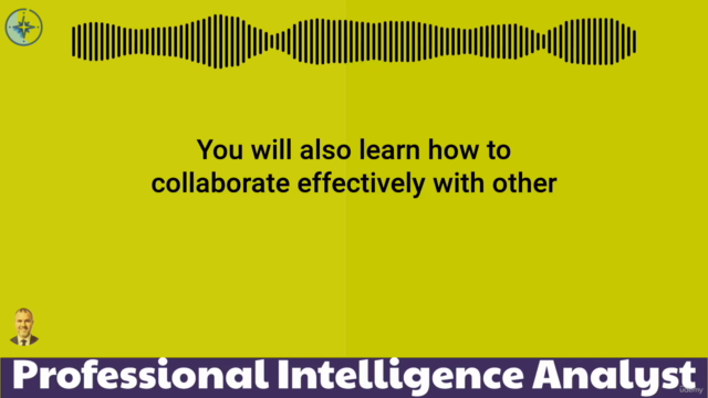 Professional Intelligence Analyst – Screenshot 2