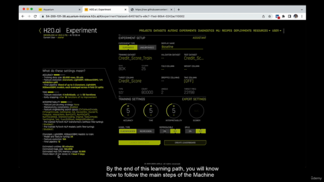 H2O Driverless AI Starter Course – Screenshot 1