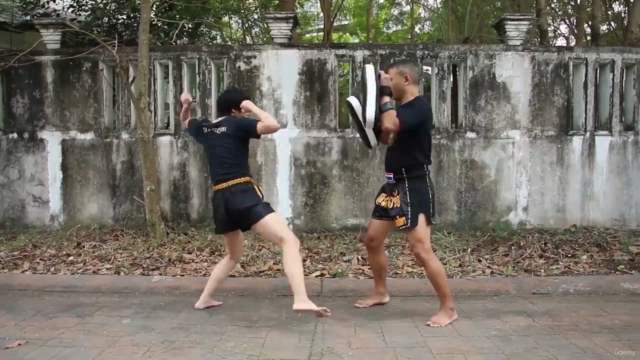 Learn Muay Chaiya – Screenshot 4