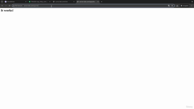 Nginx desde cero a experto – Screenshot 4