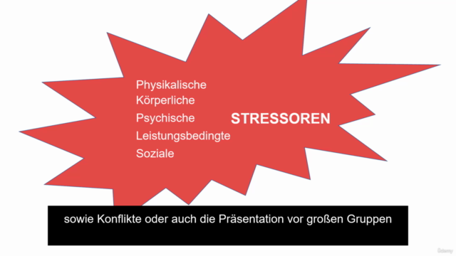 Umgang mit Stress - Steigerung der Stresskompetenz – Screenshot 2