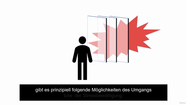 Umgang mit Stress - Steigerung der Stresskompetenz – Screenshot 3