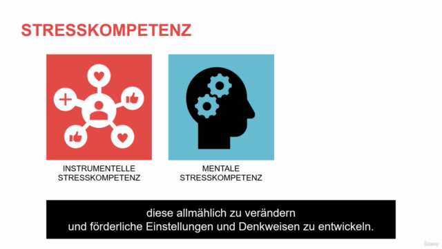 Umgang mit Stress - Steigerung der Stresskompetenz – Screenshot 4