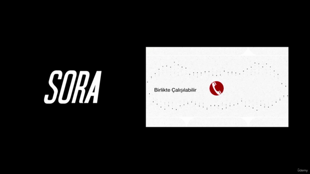 OpenAI Sora: Sora Rehberi ve Tüm Meslekler İçin Para Kazanma – Screenshot 4