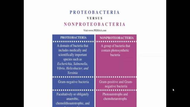PROTEOBACTERIA – Screenshot 3