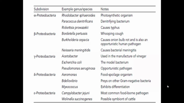 PROTEOBACTERIA – Screenshot 4