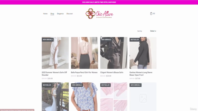 Build Your Ecommerce Brand Fast with AI Builder in Minutes – Screenshot 3