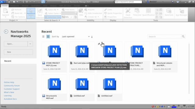 Navisworks 2025 : For Clash detection – Screenshot 1