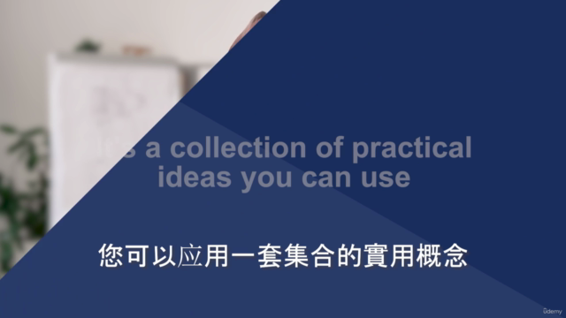 三小时实用工商管理硕士:商业领袖指南 – Screenshot 4