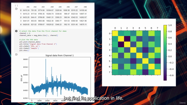 Signal processing (Python) for Neuroscience Practical course – Screenshot 1
