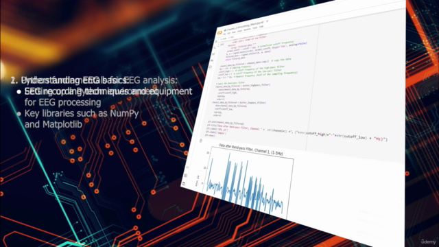 Signal processing (Python) for Neuroscience Practical course – Screenshot 3