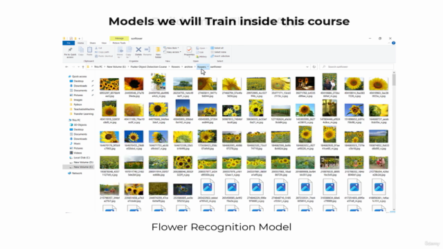 Train Image Classification Models & Build Flutter Apps 2025 – Screenshot 3