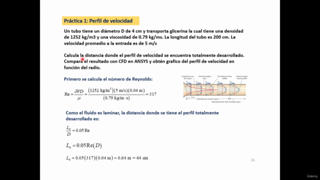 ANSYS CFD: Teoría y Simulación de Dinámica de Fluidos – Screenshot 1