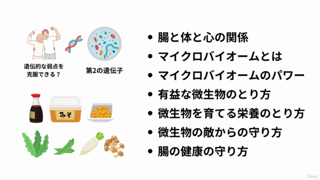腸活革命、腸とマイクロバイオームを整えて 健康レベルを最大化しよう – Screenshot 3
